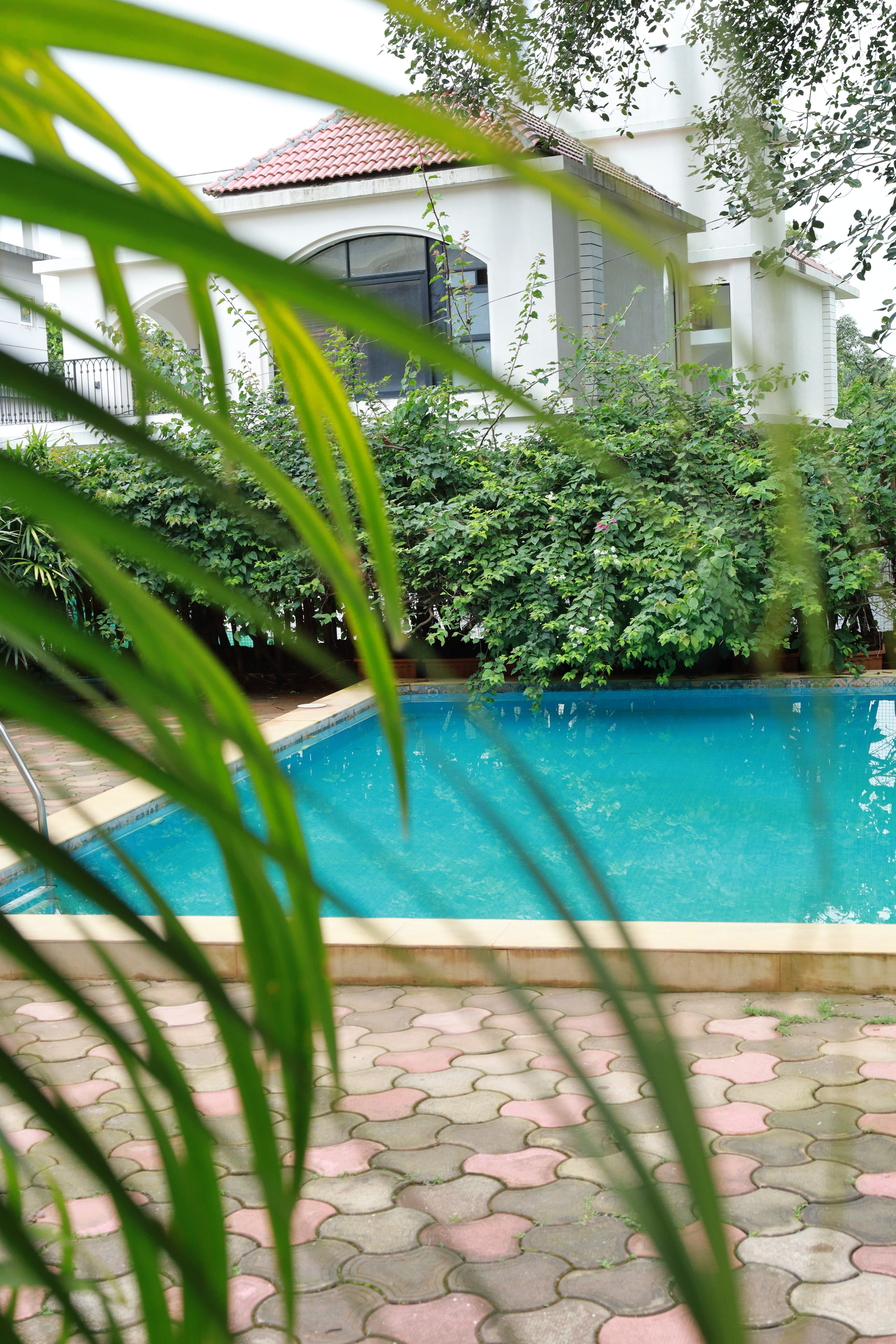 Anjuna Abode 1 — shared pool framed by tropical palms